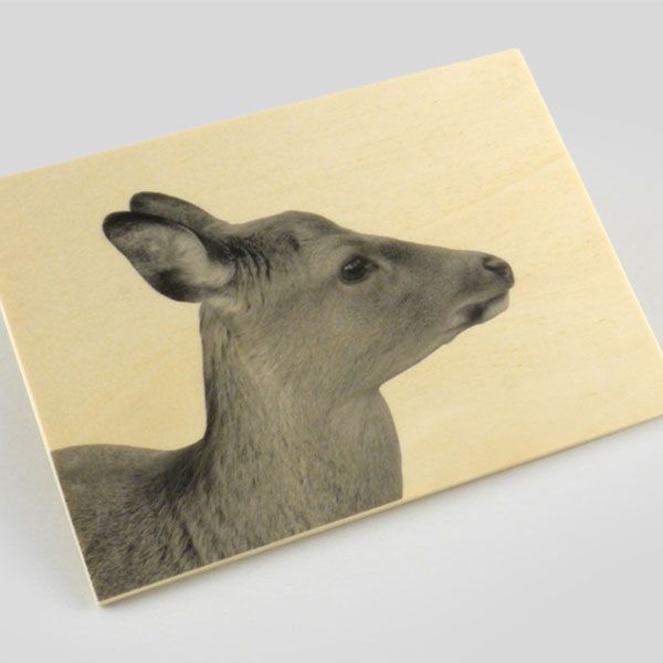 Wood-postcard-2-charity-wordpress theme Wood-postcard-2-charity-wordpress theme